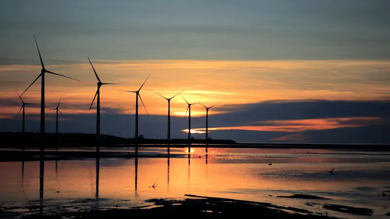 Silhouette of wind turbines against a sunset over calm water.