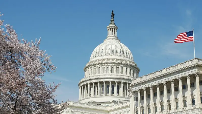 White capital building of the US with a bright blue sky, cherry blossoms, and a waving American Flag